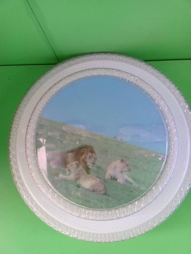 Ceiling Lions — Kislights Uganda